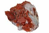 Natural, Red Quartz Crystal Cluster - Morocco #181572-1